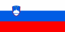 Lingua slovena